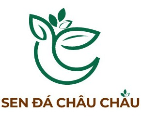 Sen đá Châu Châu