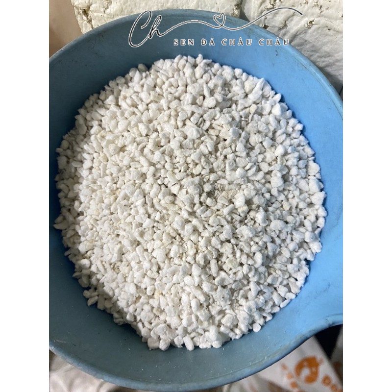 (Giao đơn từ 30K) PERLITE - NGUYÊN LIỆU TRỘN ĐẤT TRỒNG (1L)