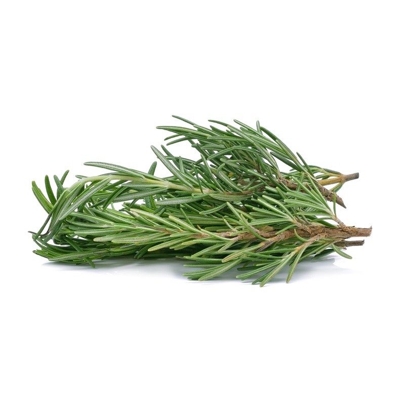 (ĐẶT TRƯỚC 2 NGÀY) 🌿 Rosemary - Hương Thảo Tươi Cắt Cành (1KG) - Thơm, Đậm vị, Không phân thuốc