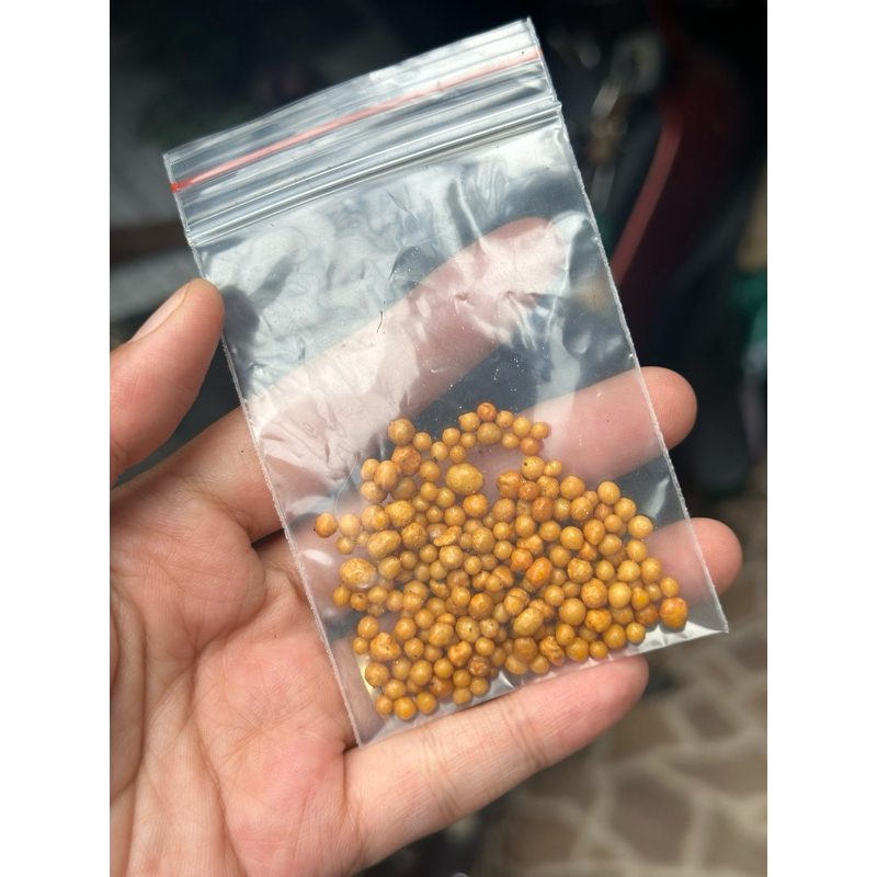 100gr Phân tan chậm bón sen đá - xương rồng - cây xanh - hoa lá