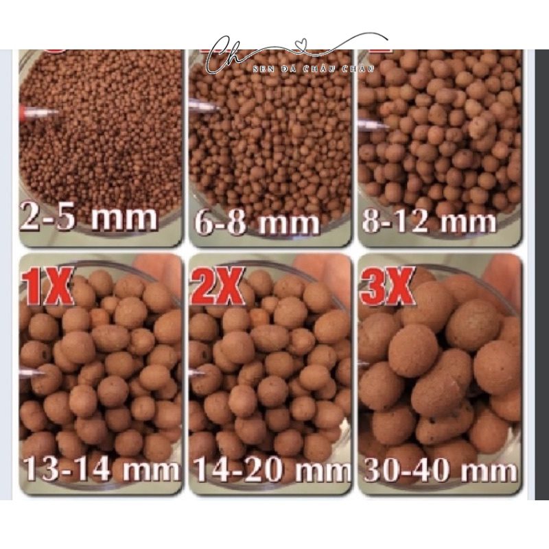 1L Hạt Đất Nung Thái (Popper) size 2-5mm