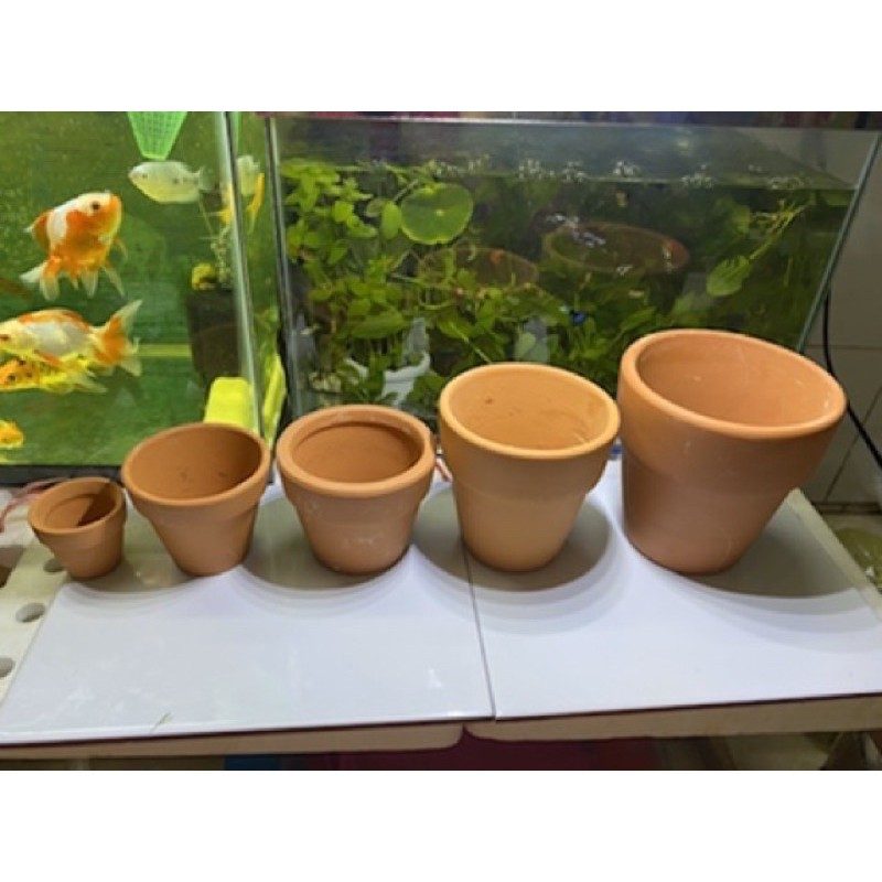 Combo 2 CHẬU ĐẤT NUNG CÓ LỖ THOÁT NƯỚC TỐT, TRỒNG SEN ĐÁ - XƯƠNG RỒNG SIÊU ỔN