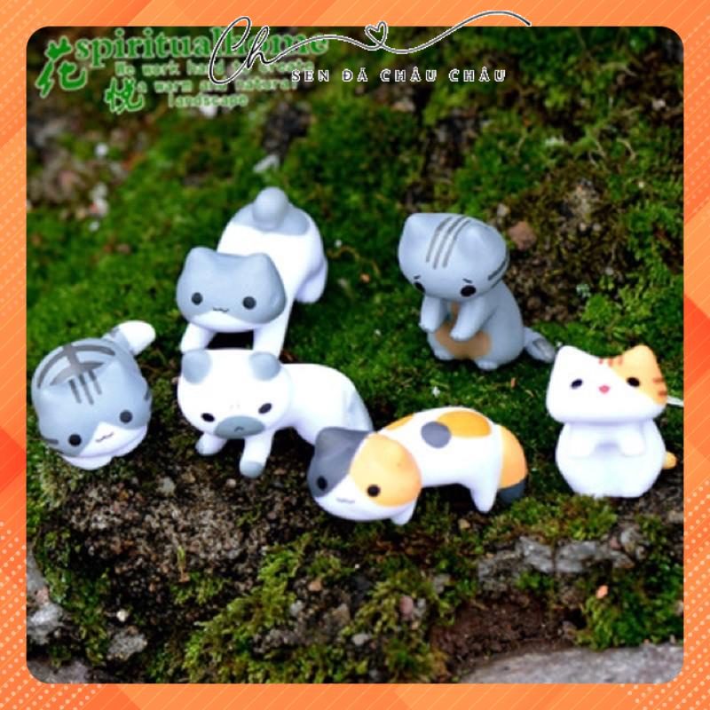 (Terrarium) Tiểu cảnh Chú mèo dễ cáu giận dễ thương