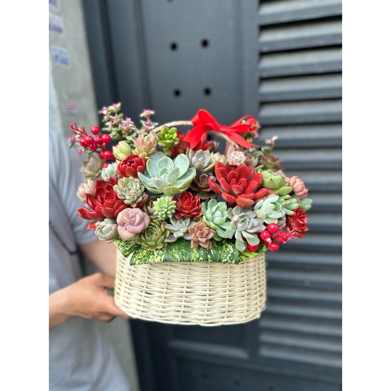 (ĐẶT TRƯỚC 1 NGÀY) Giỏ Sen Đá - Hoa Sen Đá Quà Tặng Ý Nghĩa - Nhận Mix Theo Yêu Cầu